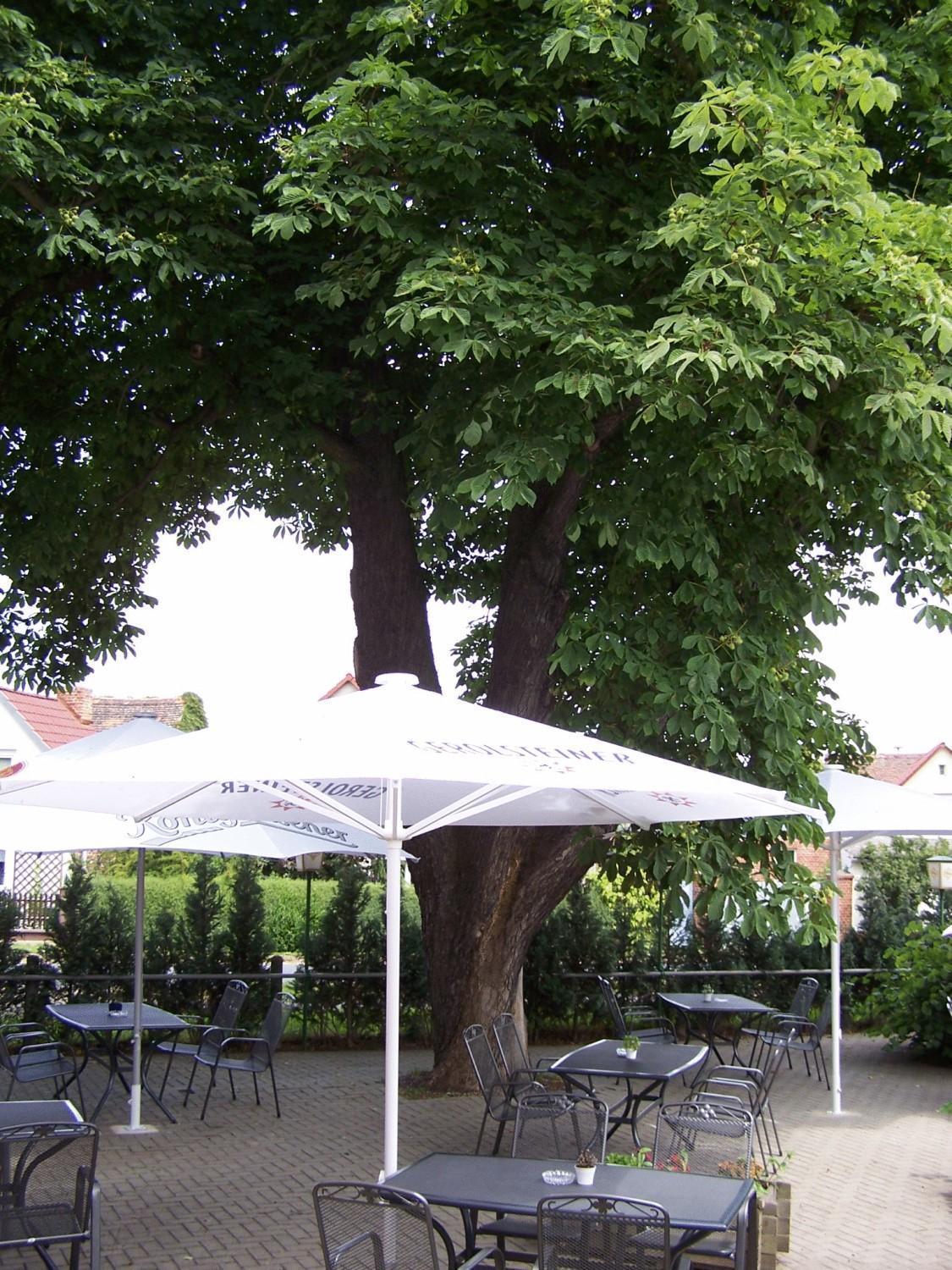 Hotel Glindenberger Hof Екстериор снимка